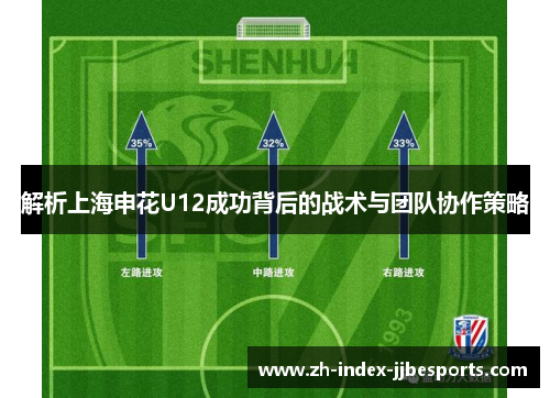 解析上海申花U12成功背后的战术与团队协作策略
