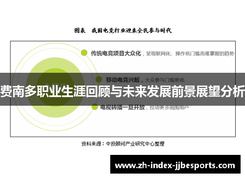 费南多职业生涯回顾与未来发展前景展望分析