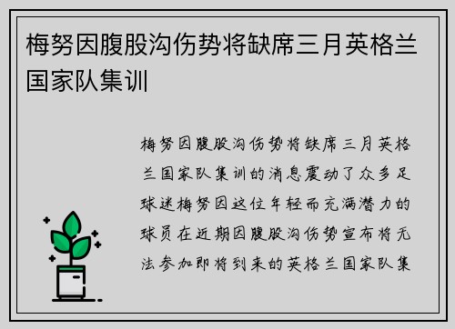 梅努因腹股沟伤势将缺席三月英格兰国家队集训